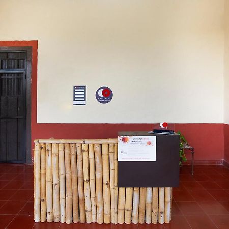 Capital O Hacienda Yunku Hotel, Yucatan Mérida Eksteriør billede